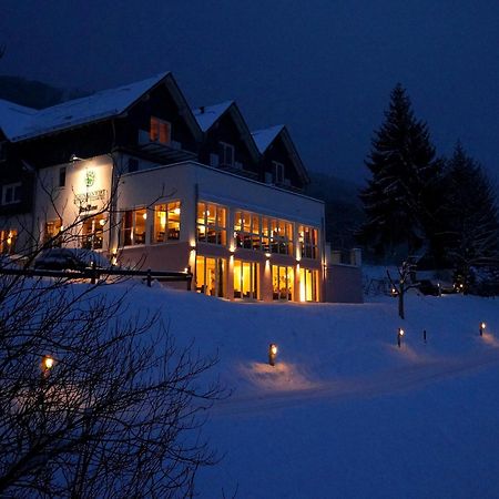 Waldhotel Schinkenwirt Olsberg Exteriér fotografie
