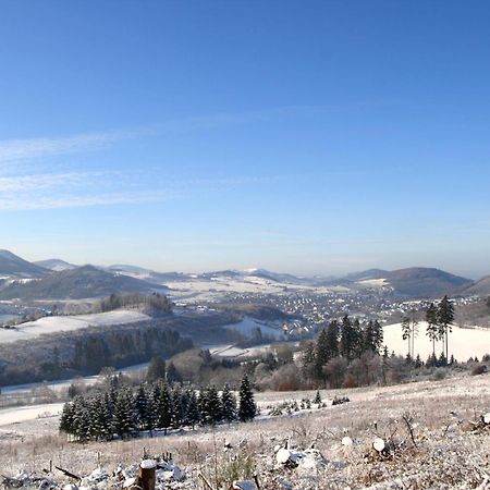 Waldhotel Schinkenwirt Olsberg Exteriér fotografie