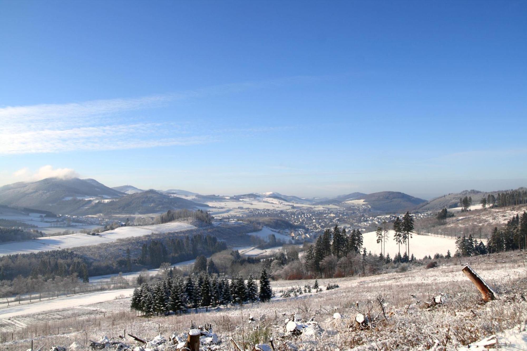 Waldhotel Schinkenwirt Olsberg Exteriér fotografie