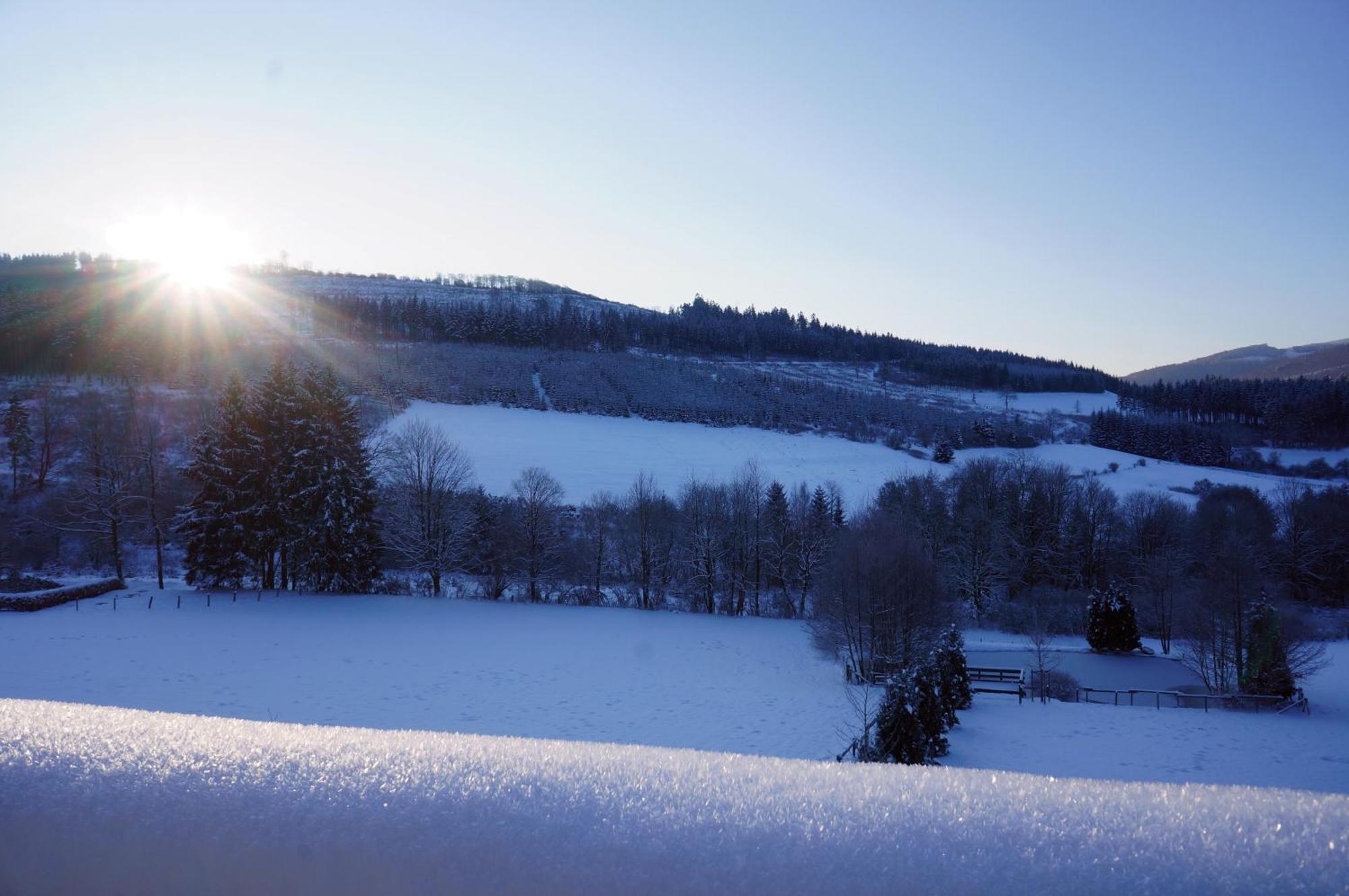 Waldhotel Schinkenwirt Olsberg Exteriér fotografie