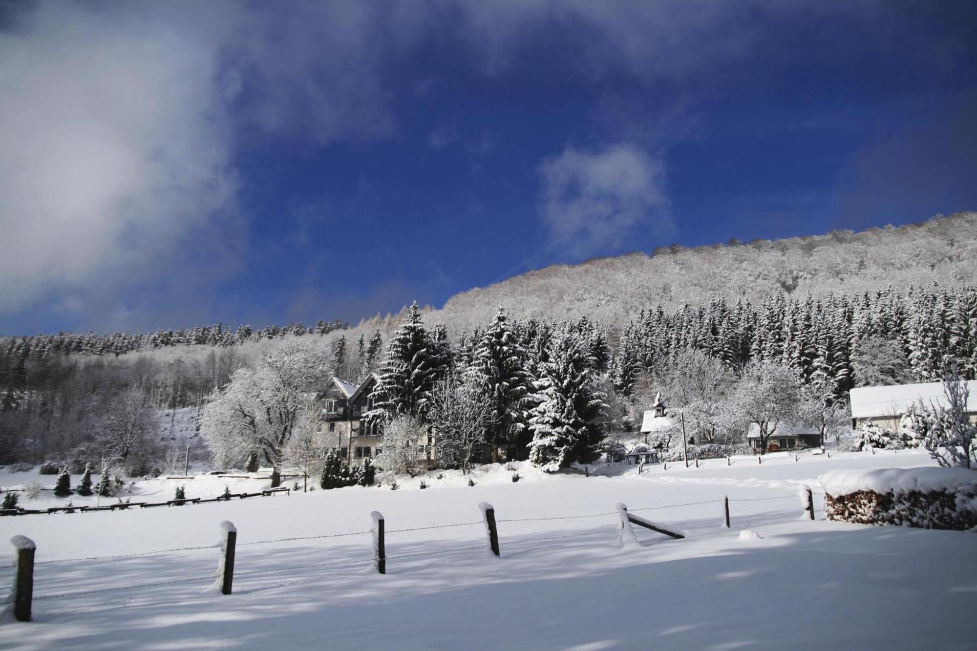Waldhotel Schinkenwirt Olsberg Exteriér fotografie