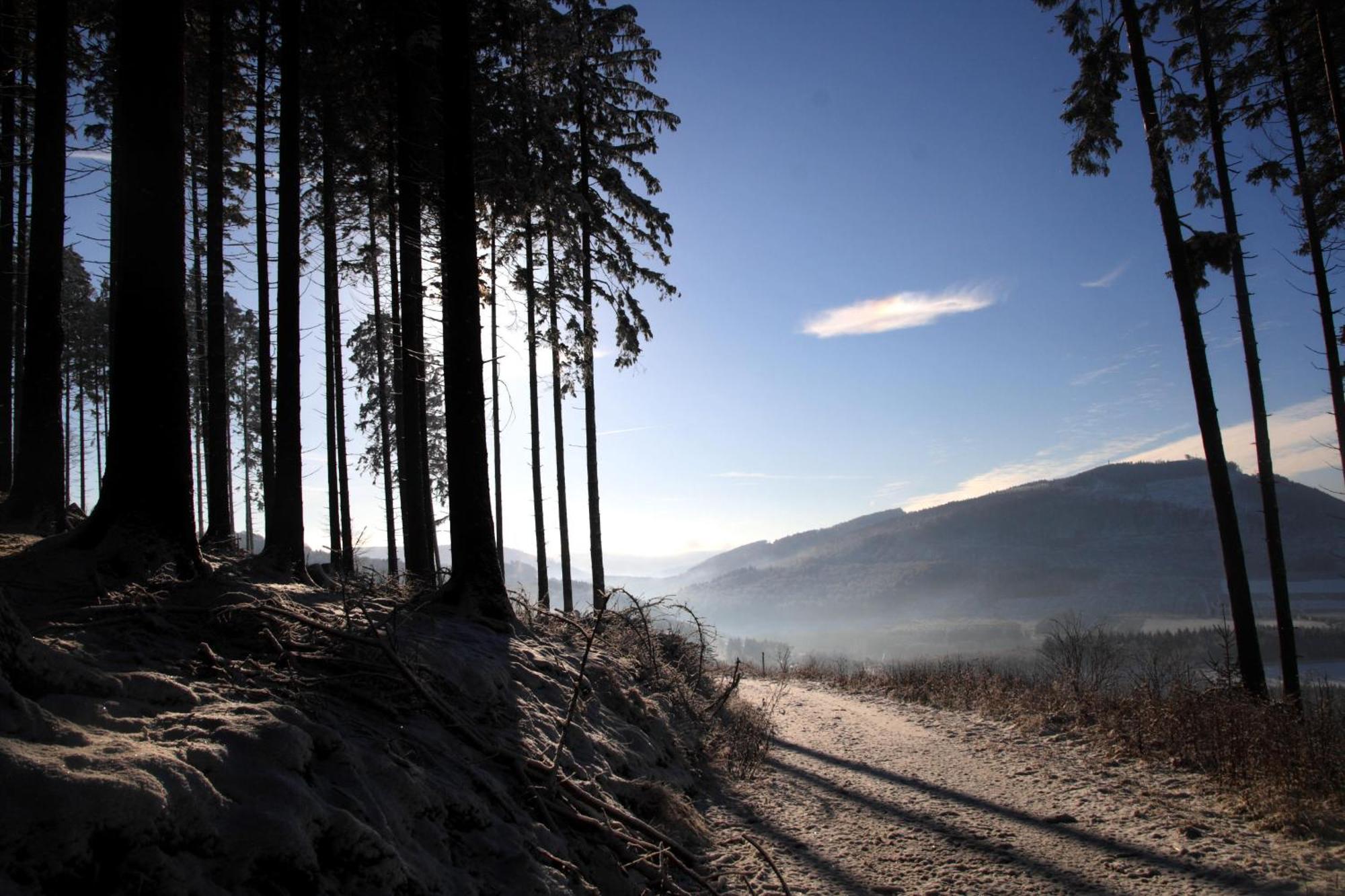 Waldhotel Schinkenwirt Olsberg Exteriér fotografie