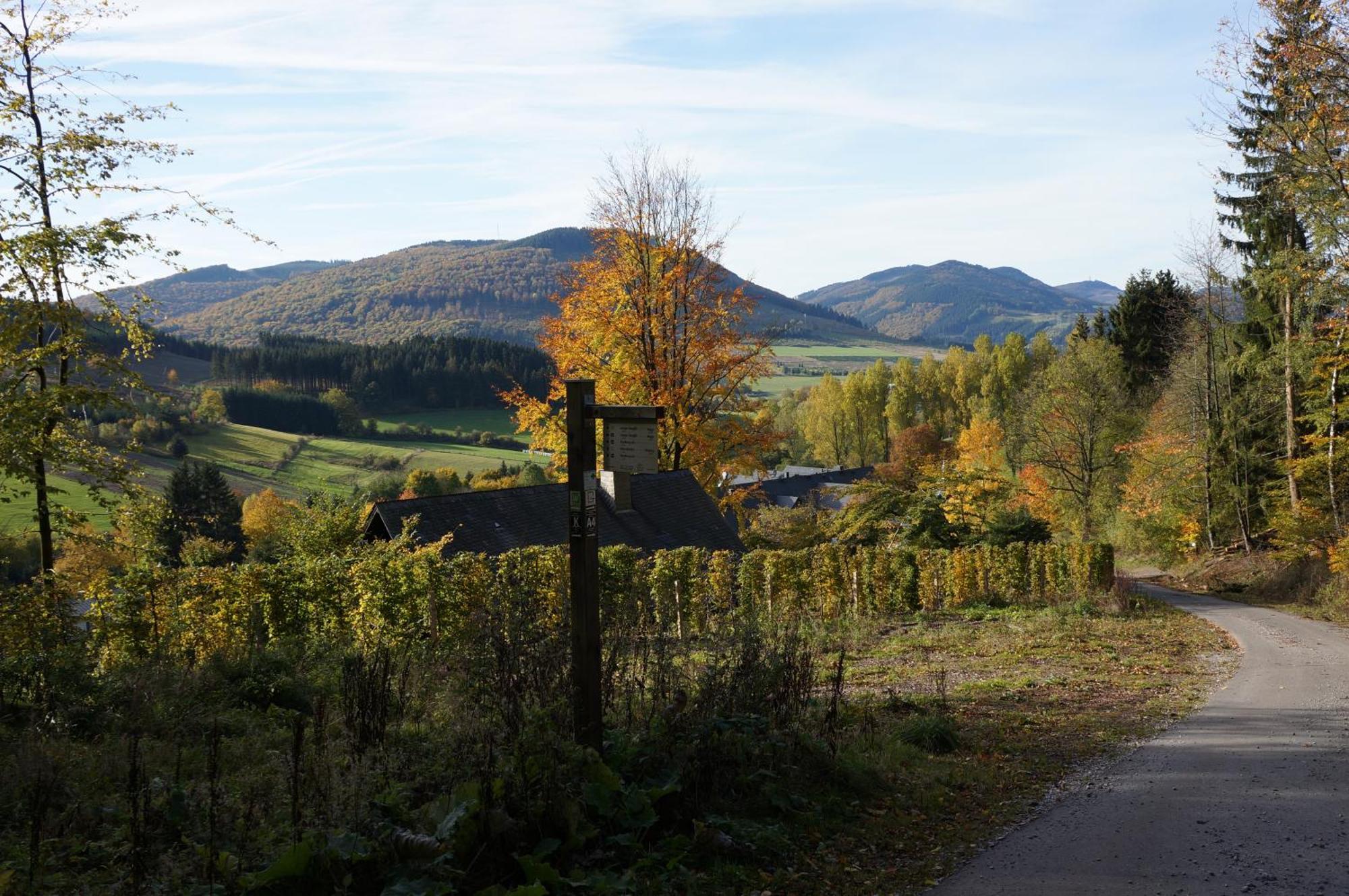 Waldhotel Schinkenwirt Olsberg Exteriér fotografie
