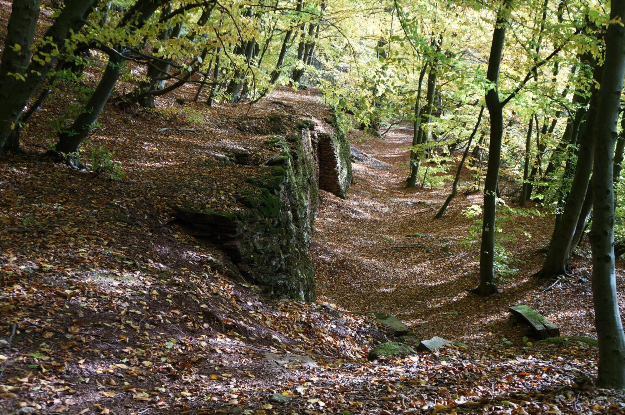 Waldhotel Schinkenwirt Olsberg Exteriér fotografie
